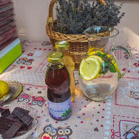 Bungalovy Natura * Trávnica